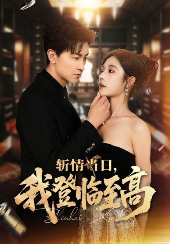 斩情当日我登临至高