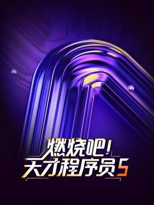 燃烧吧!天才程序员第五季
