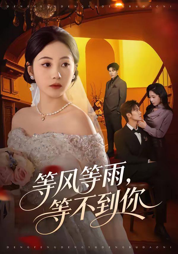 等风等雨，等不到你